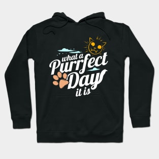 Sunny Cat And Cat Paw For Perfect Day On Purrsday Hoodie